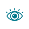 vision